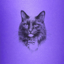 Custom Portraits