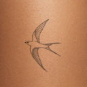 Gliding Swallow by Mommy I'm Sorry - tattoo render on skin 