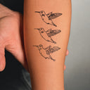 Hummingbird Transformation by Tyler Hobbs - tattoo render on arm 