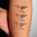 Hummingbird Transformation by Tyler Hobbs - tattoo dimensions 