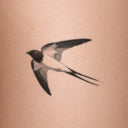 Longtail Swallow by Mommy I'm Sorry - tattoo render on skin 