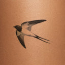 Longtail Swallow by Mommy I'm Sorry - tattoo render on skin 