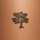 Oak by John Craig - tattoo render on skin 