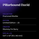 Pillarbound David by Mommy I'm Sorry - design spec sheet 