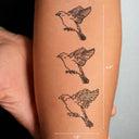 Swallow Transformation by Tyler Hobbs - tattoo dimensions 