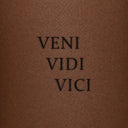 VENI VIDI VICI by Blackdot - tattoo render on skin 